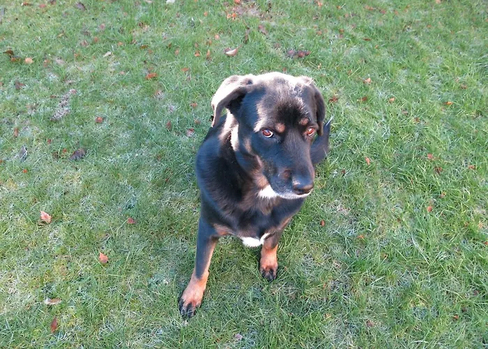 Lejlighed Fuer Liebhaber - Gerne Auch Mit Kindern *