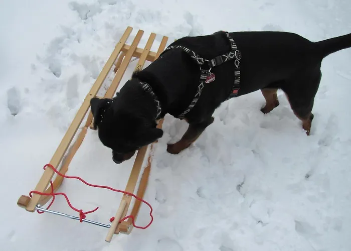Fuer Liebhaber - Gerne Auch Mit Kindern דירה סונדרן